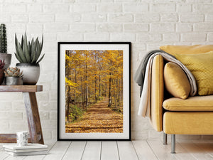A vertical autumn photograph shows a woodland trail beneath golden branches