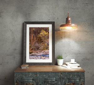 A vertical landscape photograph captures autumn foliage beside a rocky stream