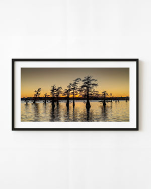 Cypress trees stand in Caddo Lake beneath a golden sunset sky