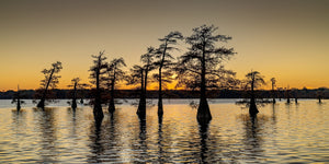 Reflejo de árboles sobre aguas tranquilas al atardecer