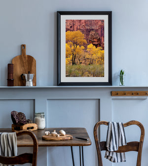 Golden cottonwoods and layered red cliffs create a colourful autumn scene