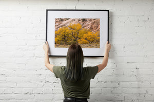 Golden leaves brighten a rugged sandstone slope above low desert shrubs