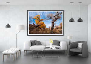 Dark textured bark and bright autumn leaves create a dramatic desert scene