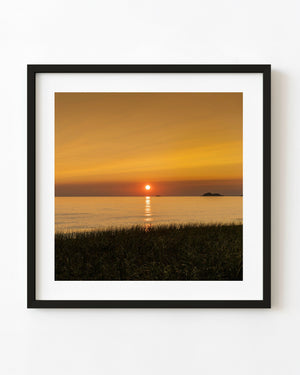 A golden sun sets over Lake Superior above dark shoreline grasses