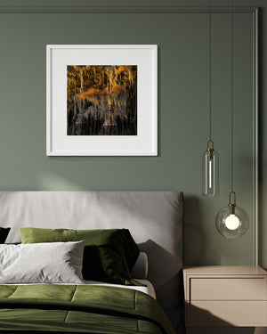 Soft evening light reveals layered moss, autumn foliage and rippled reflections