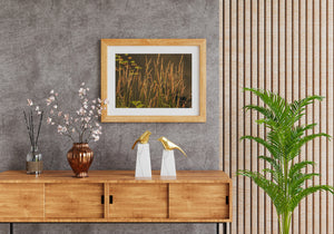 A close-up nature photograph captures sunlit grasses against dark reflective water