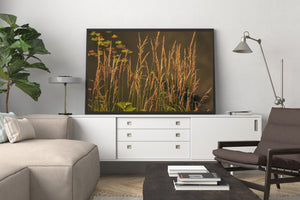 Warm copper seed heads and green stems form a quiet waterside pattern