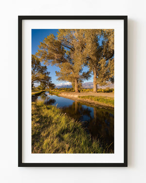Golden trees reflect in a quiet California river beneath blue sky and distant mountains