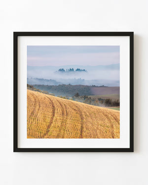 A golden Tuscan field slopes toward misty hills and distant tree silhouettes
