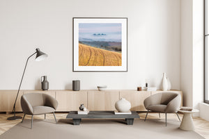 Golden stubble and distant cypress trees form a quiet Tuscan landscape