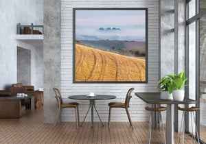 A square countryside photograph captures warm fields beneath layered morning mist