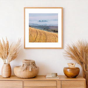 Pale mist drifts over wooded hills behind a sloping golden Tuscan field