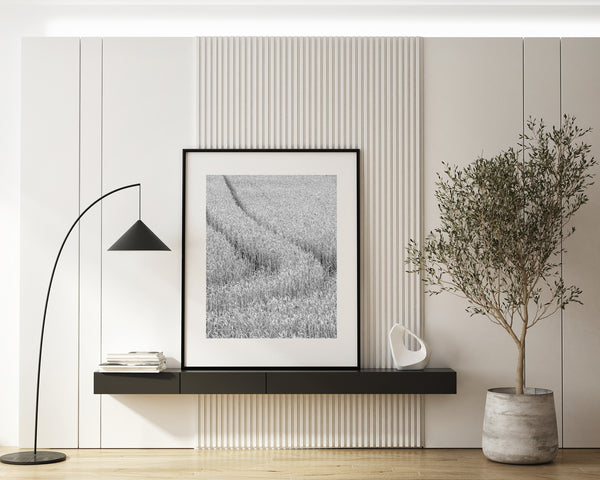 Fine art print of golden wheat field