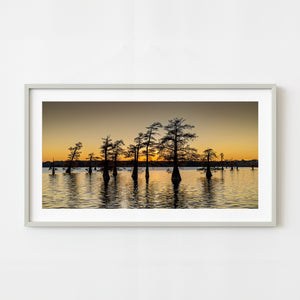 Golden sunset over Caddo Lake with cypress trees