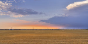 Golden farmland stretches toward distant grain cars under blue and peach evening clouds