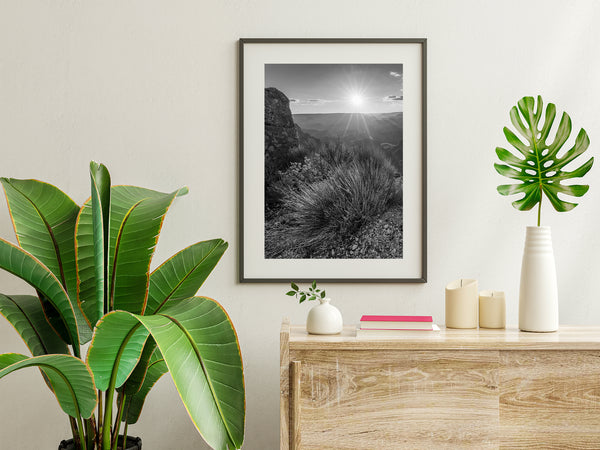 Detailed shrub foreground Grand Canyon sunset