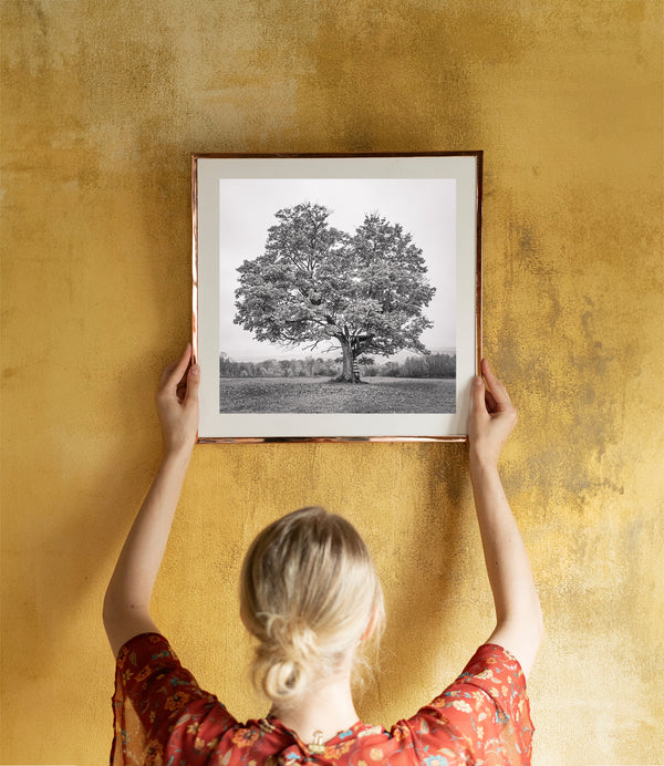 Grand maple tree with tree house Haliburton County | Photo Art Print