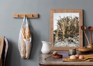 Golden wood grain and dark evergreen foliage fill a winter mountain photograph
