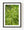 An upward view reveals a bright green forest canopy in Haliburton