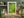 Fresh green leaves form a layered ceiling above the forest floor