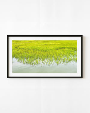 Bright green wetland grass meets pale reflective water in a panoramic nature photograph