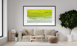Dense green grasses create a textured edge along a quiet marsh