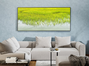 Slender grass reflections form delicate lines across light-coloured water