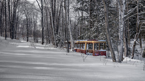 Stary tramwaj TTC otoczony zimowymi drzewami w Ontario