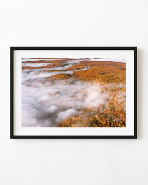 Morning fog drifts above orange autumn forest hills in an aerial Haliburton photograph