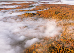 Drone photograph of fall colors and mist rolling over Haliburton forests