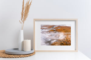 Aerial landscape of maple forests and fog in the Haliburton Highlands