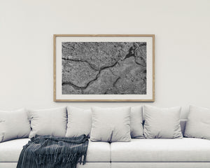 Scattered reeds and fissures create intricate patterns across exposed swamp ground
