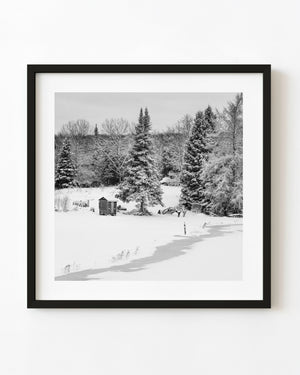 A small fishing hut stands beneath snow-covered trees in Haliburton in black and white