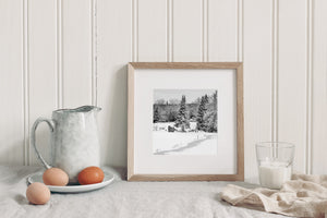 Bare snowy branches and dark evergreen trunks frame an Ontario winter scene