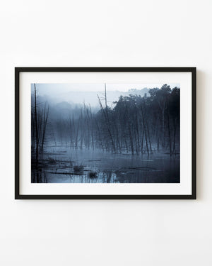 Bare trees rise from a flooded Haliburton forest beneath blue morning mist
