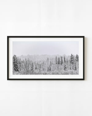 An early snowfall blankets a panoramic Haliburton forest of evergreens and bare trees