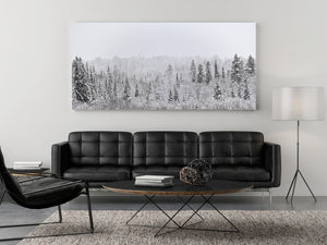 Dark evergreen silhouettes contrast with delicate snow-covered branches