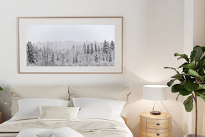 A wide Ontario forest panorama captures trees after an early snowfall