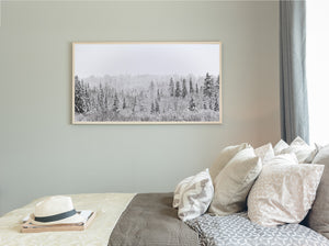 Snowy treetops fade into a pale distant woodland ridge