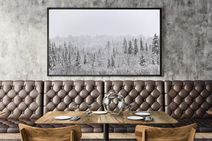 A quiet Haliburton winter landscape combines tall pines and fine bare branches