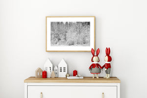 Dense woodland branches coated in snow