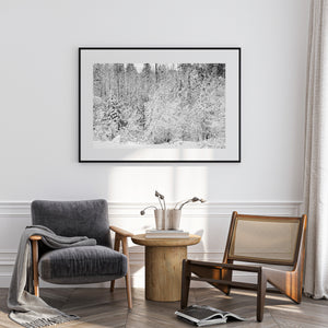 Snow-laden branches fill a quiet Ontario forest