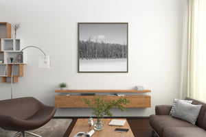 A quiet frozen wetland meets snow-dusted forest in black and white