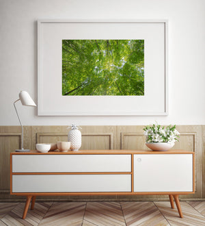Green treetops surround small openings of pale blue sky