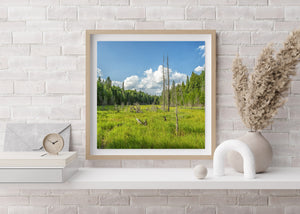 Fresh green grasses contrast with weathered branches in a square landscape photograph