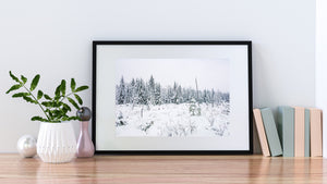 Small saplings and fallen branches emerge through deep snow in an Ontario forest