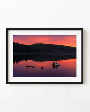 Weathered tree stumps reflect in a Haliburton lake beneath a red-orange sunrise