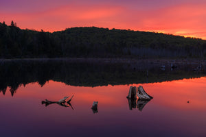 A glowing coral sky and dark forest mirror across still lake water