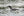 A common loon holds a small fish above rippling dark green water