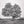 A wooden ladder leans against a mature maple beneath its wide leafy crown